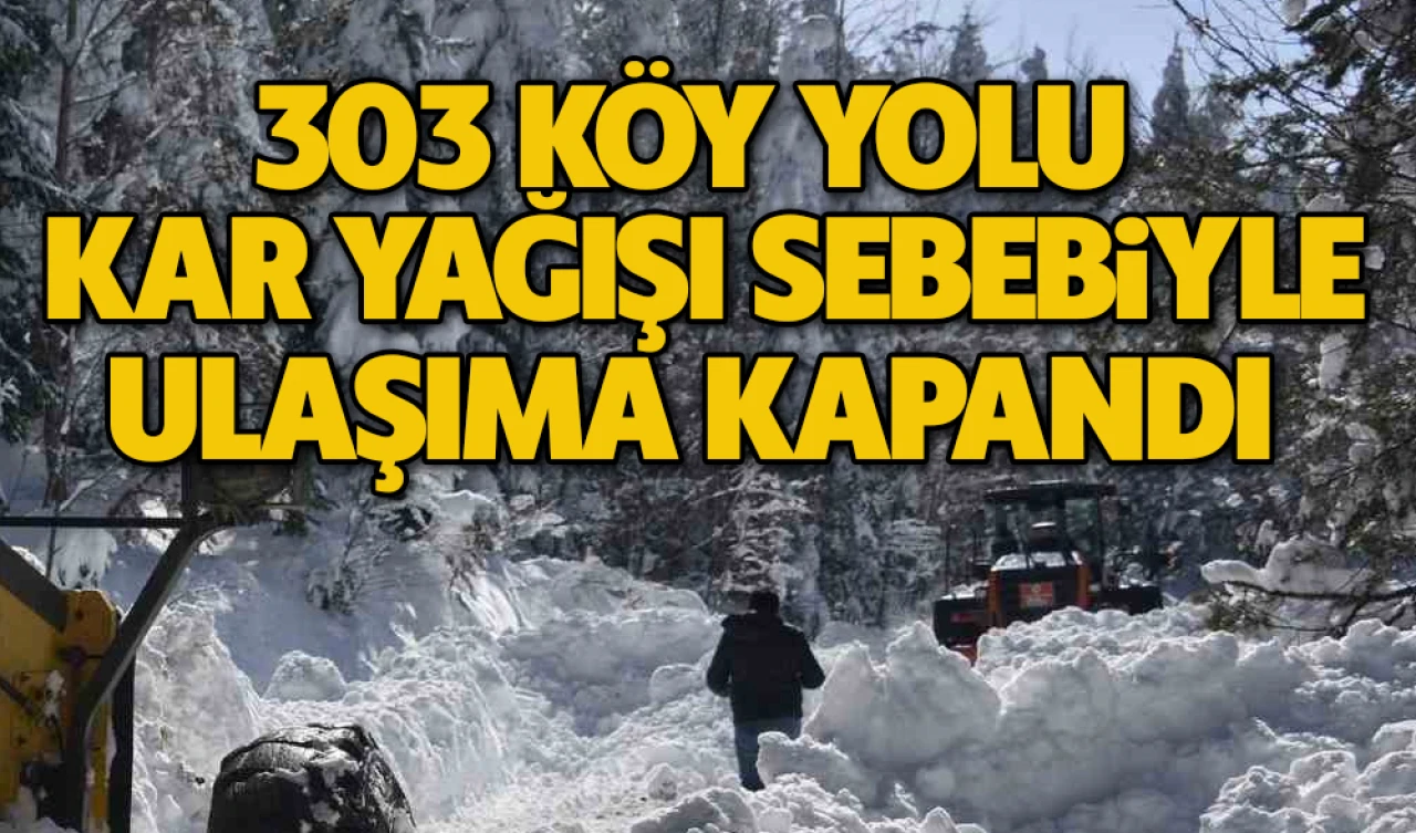 303 köy yolu kar yağışı sebebiyle ulaşıma kapandı