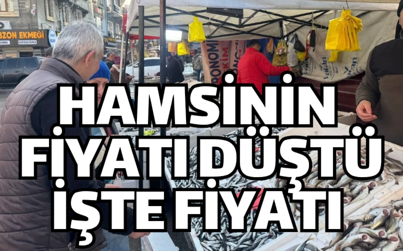 Hamsinin fiyatı düştü! İşte fiyatı...