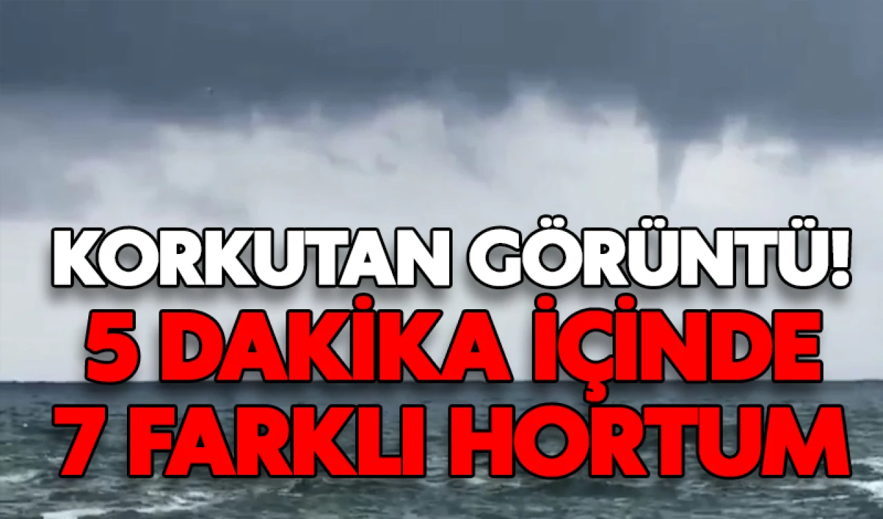 Korkutan görüntü!