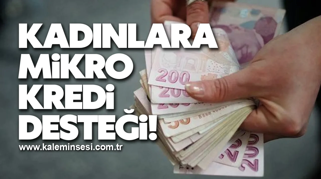 Kadınlara mikro kredi desteği!