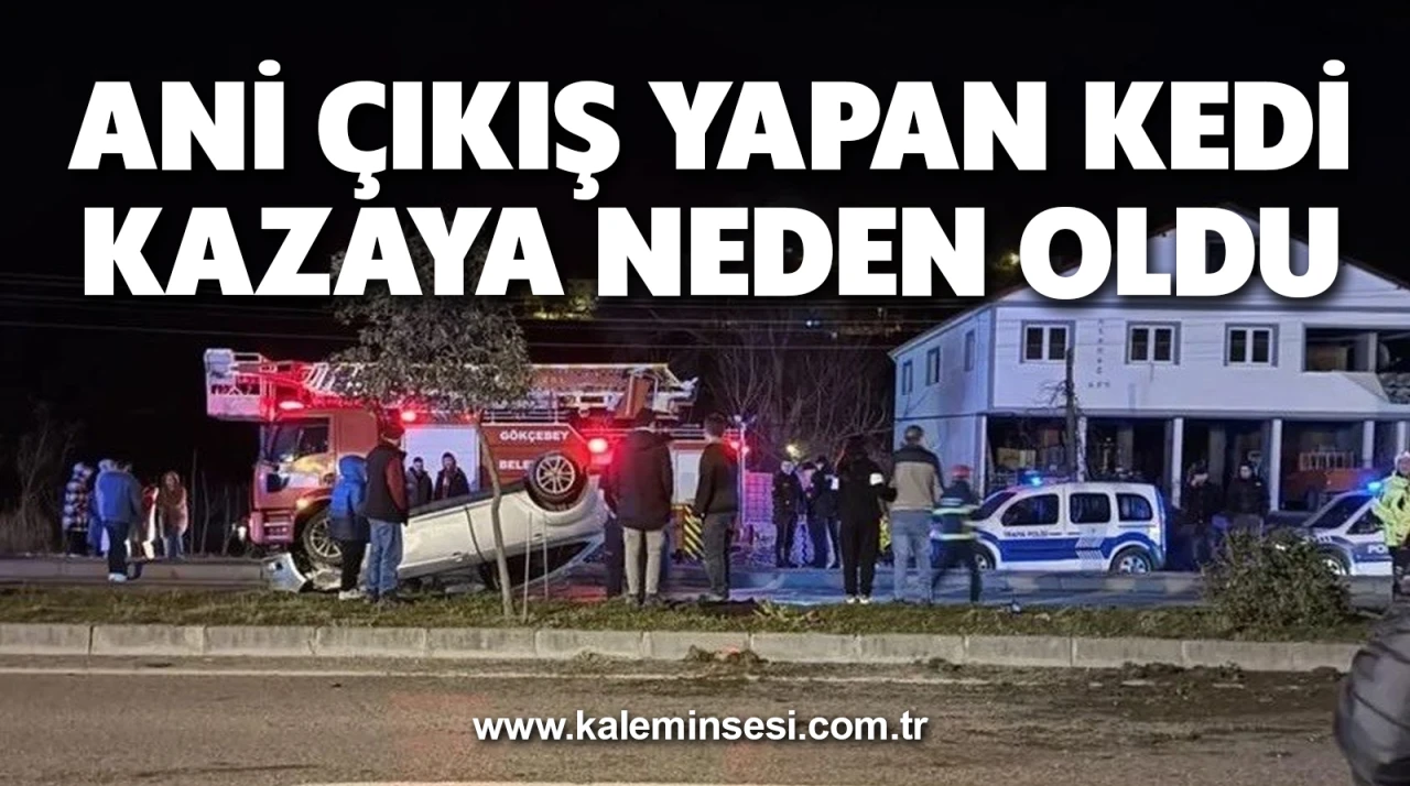 Ani Çıkış Yapan Kedi Kazaya Neden Oldu: 2 Yaralı