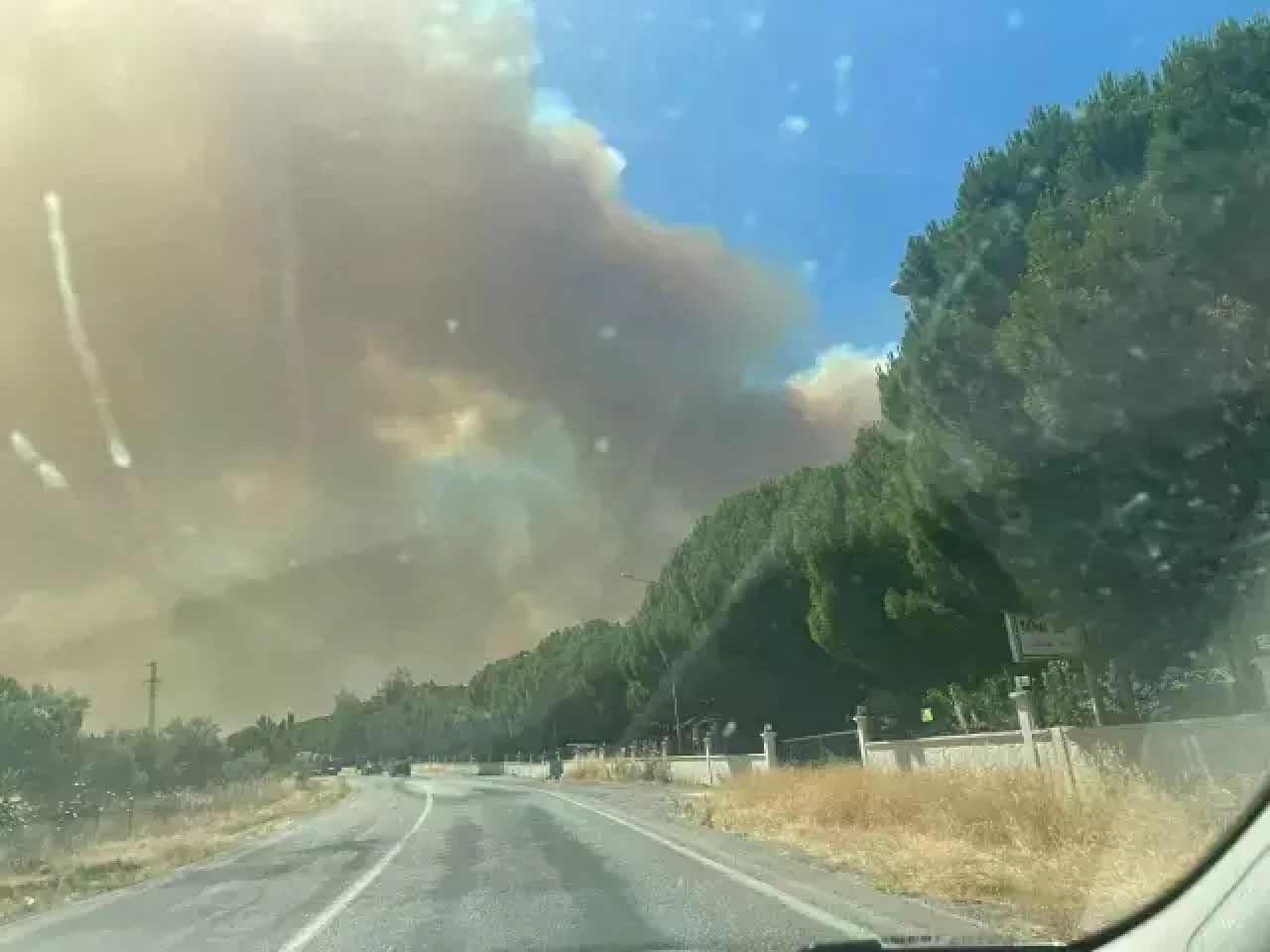 İzmir'de orman yangını! Evler tahliye ediliyor