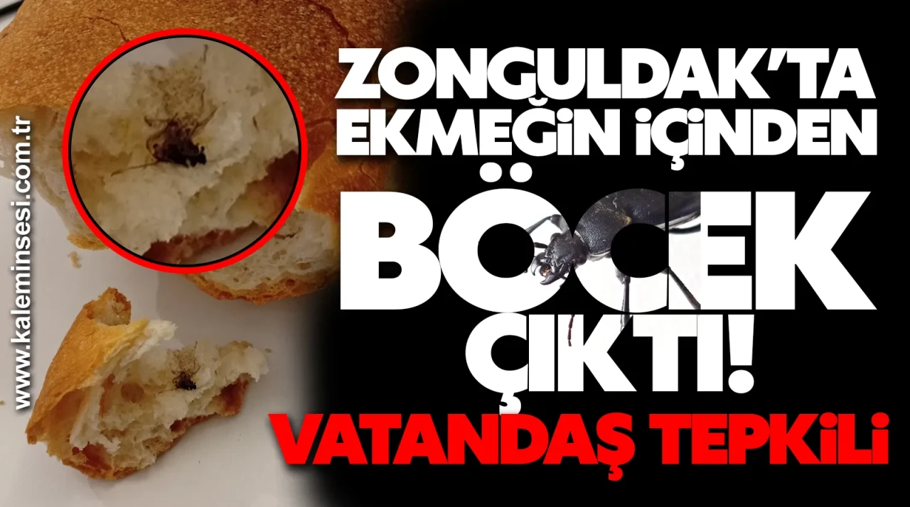 ZONGULDAK’TA EKMEĞİN İÇİNDEN BÖCEK ÇIKTI! VATANDAŞ TEPKİLİ
