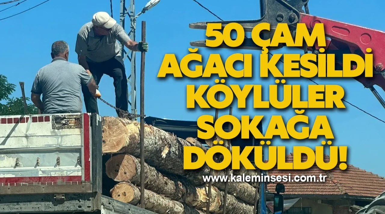 "Çam Ağaçlarının Kesilmesiyle Köylüler Sokağa Döküldü!"