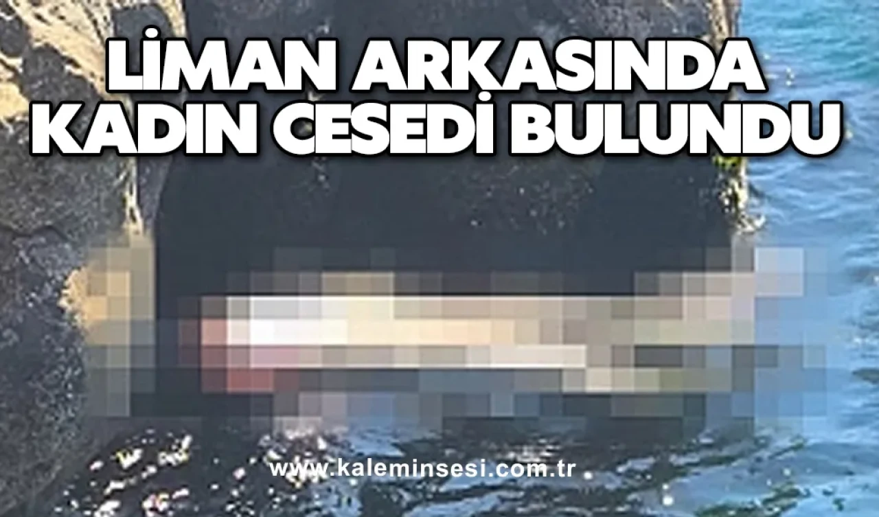 Son dakika... Liman arkasında kadın cesedi bulundu...
