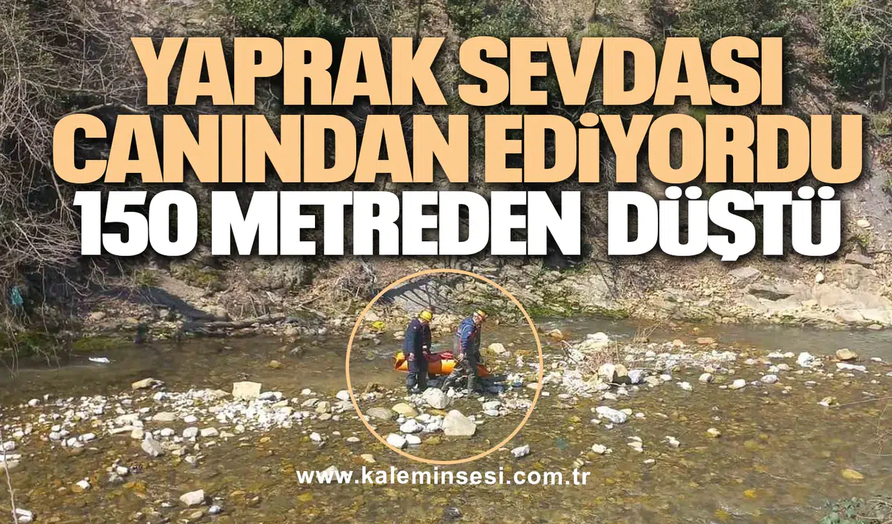 Yaprak sevdası canından ediyordu 150 metreden düştü