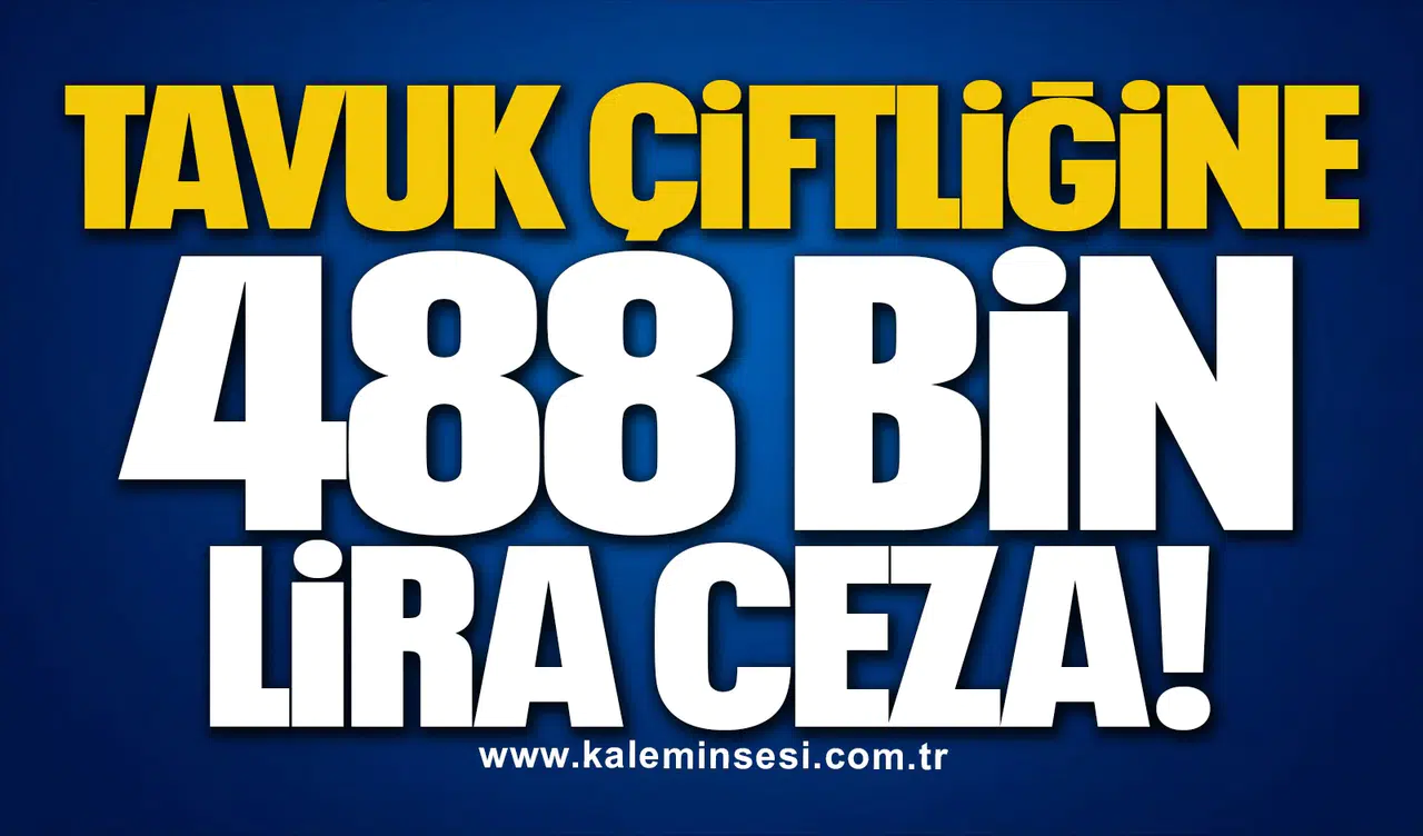 TAVUK ÇİFTLİĞİNE 488 BİN LİRA CEZA!