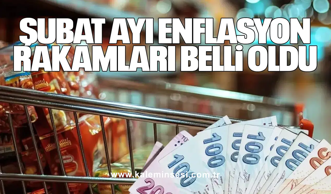 Şubat ayı enflasyon rakamları belli oldu
