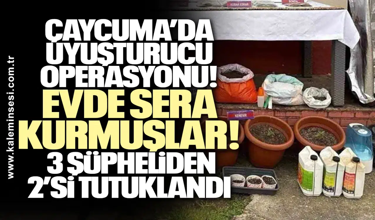 Çaycuma’da Uyuşturucu Operasyonu: Evde Sera Kurmuşlar