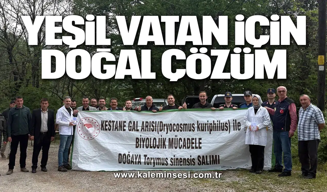 YEŞİL VATAN İÇİN DOĞAL ÇÖZÜM