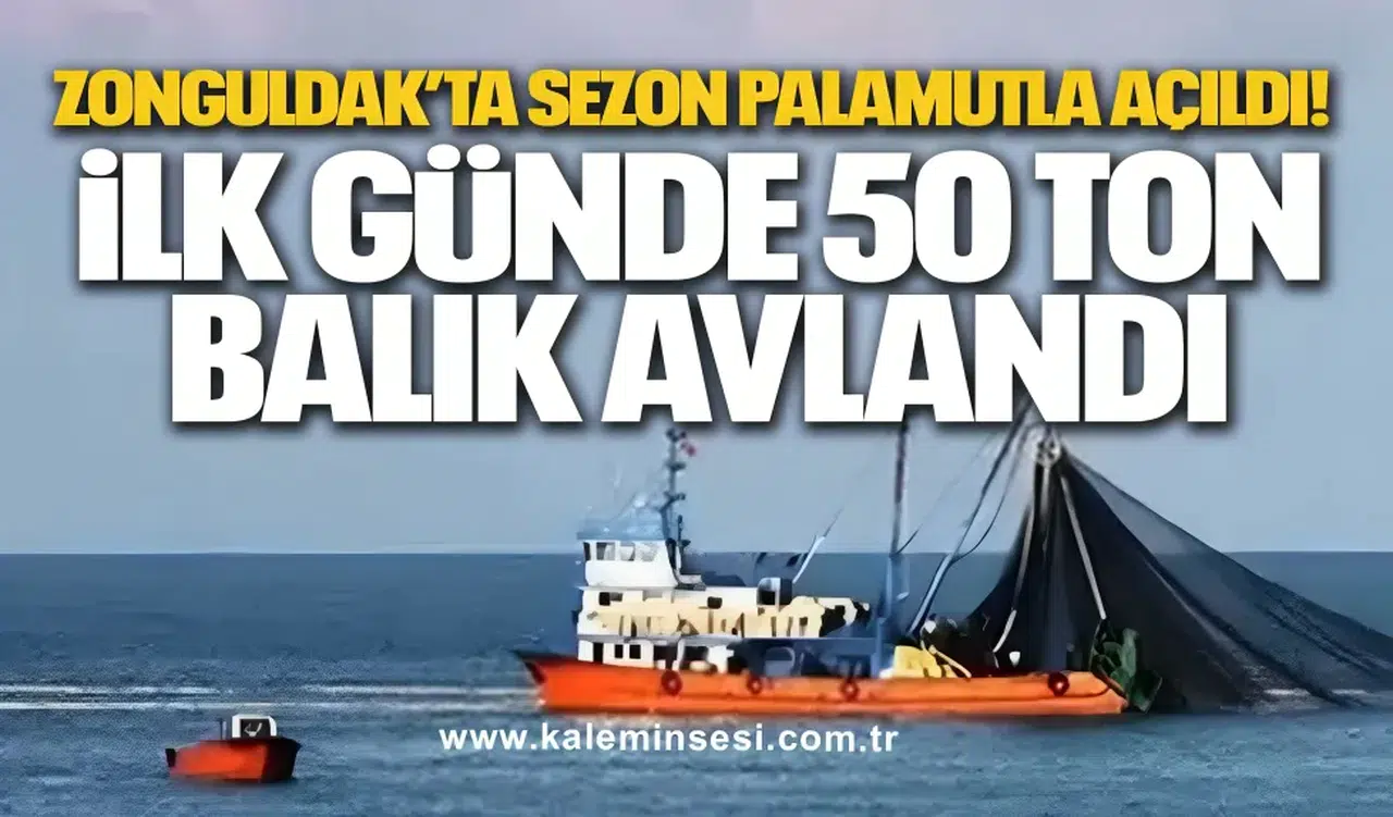 Zonguldak’ta Sezon Palamutla Açıldı! İlk Günde 50 Ton Balık Avlandı