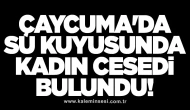 Çaycuma'da su kuyusunda kadın cesedi bulundu!