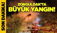 Zonguldak'ta büyük yangın!