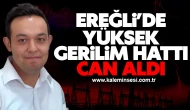Ereğli’de Yüksek Gerilim Hattı Can Aldı