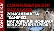 Cumhurbaşkanı İmzaladı! Zonguldak’ta "Sahipsiz Hayvanları Koruma Birliği" Kuruluyor