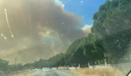 İzmir'de orman yangını! Evler tahliye ediliyor