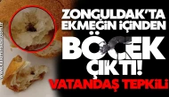 ZONGULDAK’TA EKMEĞİN İÇİNDEN BÖCEK ÇIKTI! VATANDAŞ TEPKİLİ
