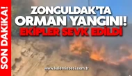 Zonguldak'ta orman yangını! Ekipler sevk edildi