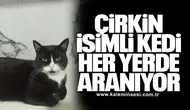 Çirkin isimli kedi her yerde aranıyor
