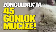 Zonguldak’ta 45 günlük mucize!