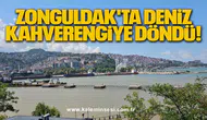Zonguldak'ta Deniz Kahverengiye Döndü!