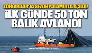 Zonguldak’ta Sezon Palamutla Açıldı! İlk Günde 50 Ton Balık Avlandı