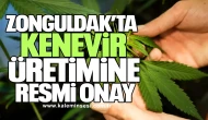 Zonguldak’ta Kenevir Üretimine Resmi Onay