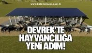 Devrek’te Hayvancılığa Yeni Adım...