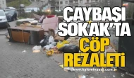 Zonguldak İncivez Mahallesi Çaybaşı Sokak’ta Çöp Rezaleti