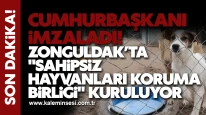 Cumhurbaşkanı İmzaladı! Zonguldak’ta "Sahipsiz Hayvanları Koruma Birliği" Kuruluyor