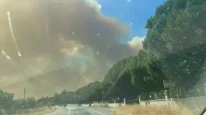 İzmir'de orman yangını! Evler tahliye ediliyor