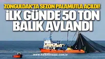 Zonguldak’ta Sezon Palamutla Açıldı! İlk Günde 50 Ton Balık Avlandı