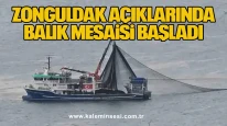 Zonguldak Açıklarında Balık Mesaisi Başladı