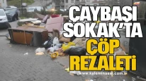 Zonguldak İncivez Mahallesi Çaybaşı Sokak’ta Çöp Rezaleti