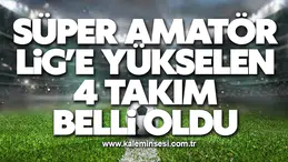 Süper Amatör Lig’e yükselen 4 takım belli oldu