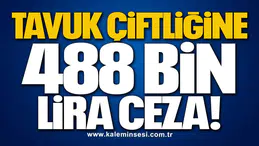 TAVUK ÇİFTLİĞİNE 488 BİN LİRA CEZA!
