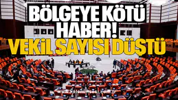 Bölgeye kötü haber: Vekil sayısı düştü
