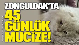 Zonguldak’ta 45 günlük mucize!