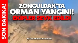 Zonguldak'ta orman yangını! Ekipler sevk edildi