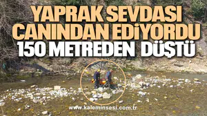 Yaprak sevdası canından ediyordu 150 metreden düştü