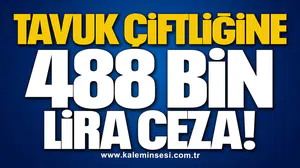 TAVUK ÇİFTLİĞİNE 488 BİN LİRA CEZA!