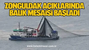 Zonguldak Açıklarında Balık Mesaisi Başladı