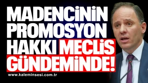 YAVUZYILMAZ, MADENCİNİN GASP EDİLEN PROMOSYON HAKKINI MECLİS GÜNDEMİNE TAŞIDI!