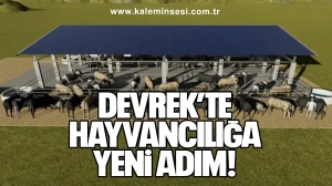 Devrek’te Hayvancılığa Yeni Adım...