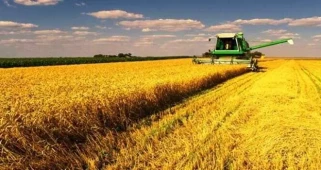 Çiftçilere Önemli Uyarı: ÇKS Başvuruları Başladı