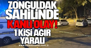 Zonguldak Sahilinde Kanlı Olay: 1 Kişi Ağır Yaralı