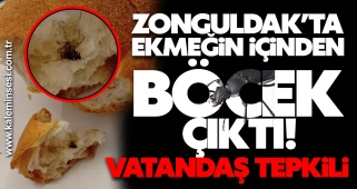 ZONGULDAK’TA EKMEĞİN İÇİNDEN BÖCEK ÇIKTI! VATANDAŞ TEPKİLİ