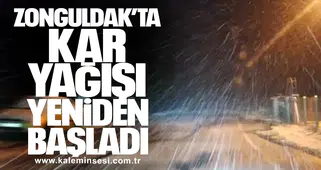 Zonguldak’ta Kar Yağışı Yeniden Başladı