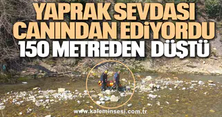 Yaprak sevdası canından ediyordu 150 metreden düştü