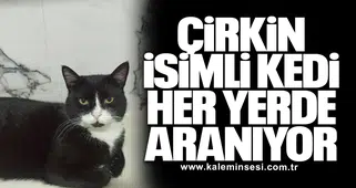 Çirkin isimli kedi her yerde aranıyor